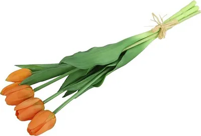 Zdjęcie produktu dla Bukiet tulipanów Countryfield – tulipany – pomarańczowe – 40 cm