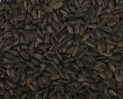 Productafbeelding van Boer'n Goed Zwarte Zonnebloempitten 2,5KG
