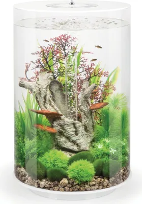 Obrázek produktu pro Akvárium biOrb TUBE 30 MCR bílá
