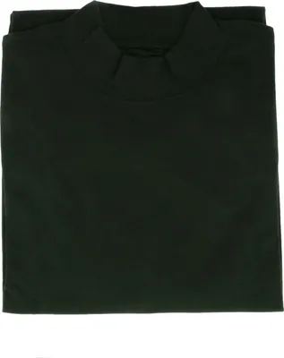 Ragman Stehkragen-Shirt langarm in grün