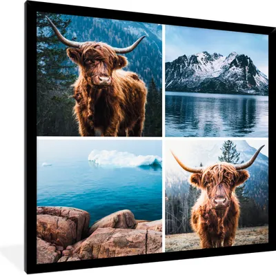 Produktbild von MuchoWow® Gerahmtes Poster Schottischer Highlander - Berg - Collage 40x40 cm - Poster mit Schwarzem Bilderrahmen Wandposter Rahmen Foto Bilder - Mit Rahmen - Wanddekoration Schlafzimmer