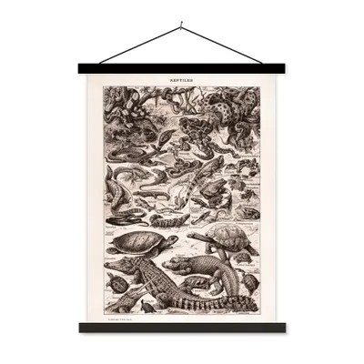 Produktbild von MuchoWow® Textilposter Reptilien - Tiere - Schwarz - Weiß 40x53 cm mit schwarzem Rahmen - Abbildung
