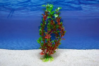 Produktbild von Amtra Ludwigia L 27 cm – Künstliche Pflanze für Aquarien