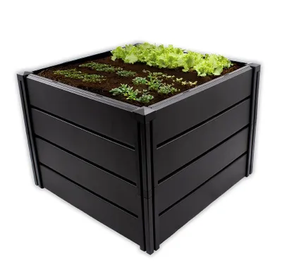 A black raised garden bed filled with soil and young plants.