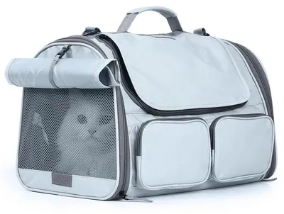 Image de Cage de transport pliable pour chats et chiens, jusqu'à 20 kg, couleur gris clair, grande taille, dimensions : 44,5 x 30 x 29 cm