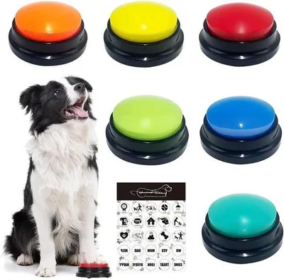 Produktbild von Hundebuzzer mit Aufnahmefunktion - Kommunikationsknop für Hunde - 30 Sekunden Sprachaufnahme - Interaktionsknöpfe für Hunde - 6 Farben -