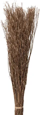Zdjęcie produktu dla Suszone kwiaty Clayre & Eef 80 cm Beżowe suszone kwiaty