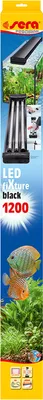 Image de sERA LED fiXture black 1200