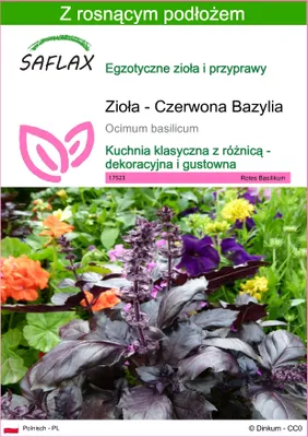 Zdjęcie produktu dla SAFLAX - Zioła - Czerwona Bazylia - 200 Nasiona - Z podłożem uprawowym wolnym od zarazków - Ocimum basilicum