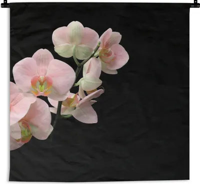 Produktbild von MuchoWow® Wandteppich Wandbehang Orchidee - Blumen - Rosa - Stilleben - Flora 150x150 cm Tapisserie Dekoration Wandtuch - Wohnaccessoires - Modernes