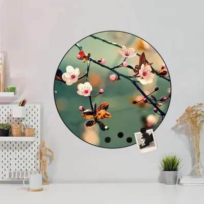 Produktbild von Design Stahlmagnettafel Schwarz Rund 47cm Japankirsche