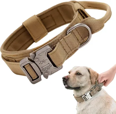Produktbild von Hunde Halsband XL, verstellbar, gepolstert, Nylon, Metallverschluss, für mittelgroße und große Hunde, Training