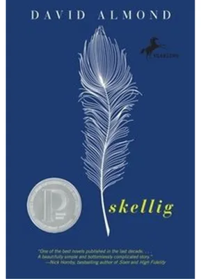 Produktbild von Skellig
