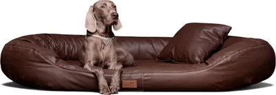 Produktbild von Orthopädisches Hundebett LENNART VISCO PLUS Kunstleder - Größe: 140x105cm | Farbe: 01 Braun