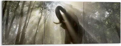 Produktbild von Bild auf Leinwand - Leinwandbild - Elefant Dschungel  - 150x50cm - Wand Bild - Wanddeko - Leinwanddruck - Bilder - Kunstdruck - Wanddekoration - Leinwand bilder - Wandkunst - CA150x50-3835