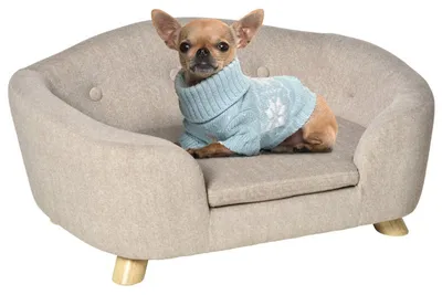 Image de Canapé pour petits chiens | Couleur : Crème blanc | Dimensions : 70 x 47 x 30 cm
