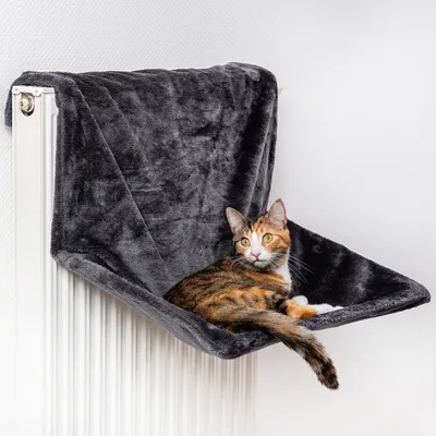 Produktbild von Katze Heizkörperliege Canadian Cat | Groß 60 x 40 x 30 cm | Anthrazit