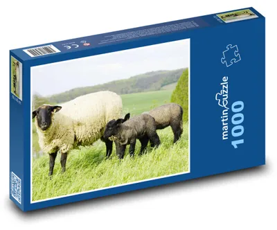 Produktbild von Puzzle 1000 Schafe auf der Wiese - martinpuzzle
