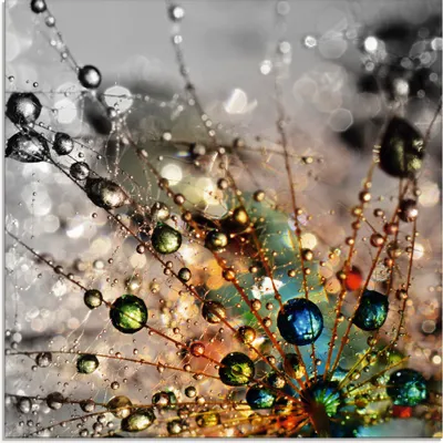 Produktbild von ARTland Glasbild Farbenfrohe Natur Größe: 40x40 cm