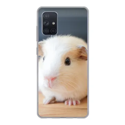 Produktbild von MuchoWow® Handyhülle Schutzhülle Hülle für Samsung Galaxy A51 Niedliches Baby-Meerschweinchen Silikon Softcase Handy Hülle - Schutzabdeckung