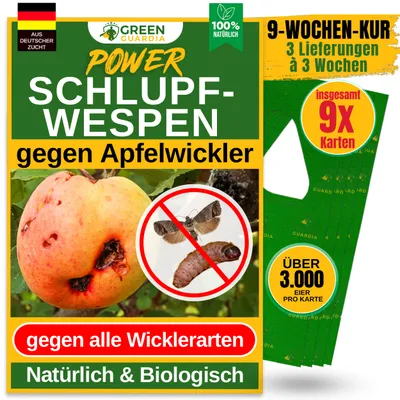 Produktbild von Green Guardia Schlupfwespen gegen Apfelwickler -3x Karten 3x Lieferung- Biologisches Mittel gegen Apfelwickler, Chemiefrei Apfelwickler bekämpfen