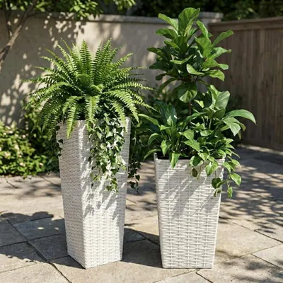 Image de Pots de fleurs - en plastique - rectangulaires - amovibles - avec fentes de drainage