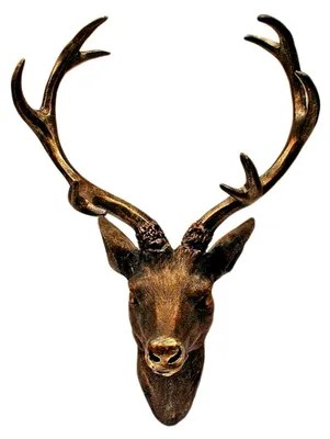 Produktbild von Hirschgeweih Hirschkopf Geweih 10-Ender in Bronze-Optik 15 x 30 cm, Figur Skulptur Deko