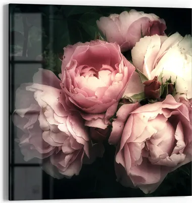 Produktbild von DEQORI Glasbild Echtglas 30x30 cm 'Nostalgische Blüte' Wandbild Bild modern Deko