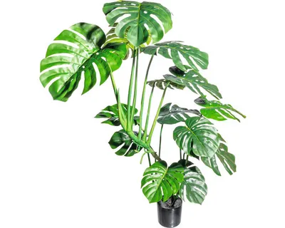 Produktbild von Kunstpflanze Splitphilodendron Höhe: 120 cm grün