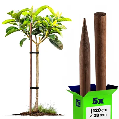 Immagine prodotto di Supporto per arrampicata in legno KADAX "Tarup", pali impregnati, palo per piante da arrampicata, 120 cm, 5 pezzi