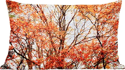 Produktbild von MuchoWow® Zierkissen Sofakissen Wohnzimmer Dekokissen 60x40 cm Wald - Herbst - Jahreszeiten - Kopfkissen - Polster mit Foto