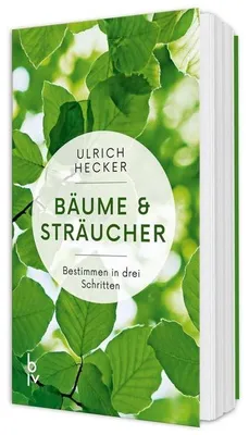 Immagine prodotto di Bäume und Sträucher