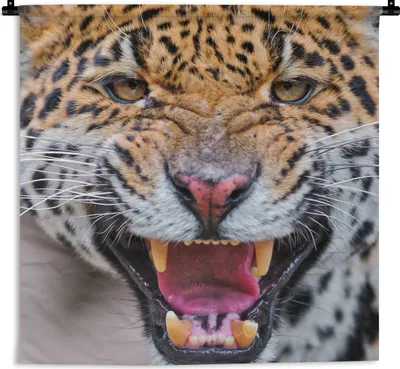 Produktbild von MuchoWow® Wandteppich Wandbehang Jaguar - Makro - Tier 120x120 cm Tapisserie Dekoration Wandtuch - Modern - Baumwollgewebe
