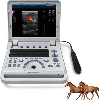 Produktbild von Tragbares Farbdoppler-Veterinär-Ultraschallgerät VET-Ultraschallscanner für Pferd, Kuh, Kamel, Hund, Katze rektale Sonde