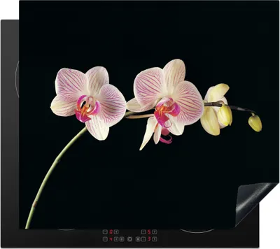 Produktbild von KitchenYeah© Herdabdeckplatte Orchidee - Blumen - Schwarz - Rosa - Knöpfe , 59x51cm, Küche Deko, Glaskeramikkochfeld Herdabdeckung, Abdeckplatte fùr Kochfeld