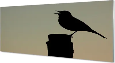 Produktbild von Glasbilder 125x50 Wandkunst schwarzer Vogel