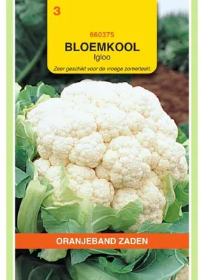 Imagen del producto de Oranjeband Blumenkohl Igloo - 1 paquete de semillas