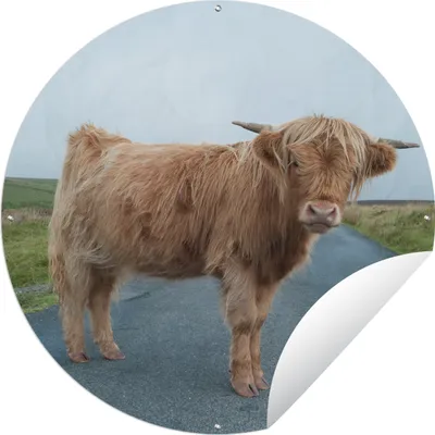 Produktbild von MuchoWow® Gartenposter Outdoor-Poster Rund Scottish Highlander - Straße - Gras Ø 60 cm Gartendeko Rundes Poster draußen