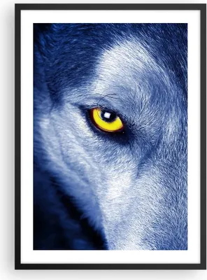 Produktbild von Gerahmtes Poster - Schwarzer Rahmen - Schau der Wolf Augen - 50x70 cm - Wand Bild - Wanddeko - Wandbilder - Kunstposter - Wandposter - Bilderrahmen - Bilder - Kunstdruck - P2BPA50x70-4587
