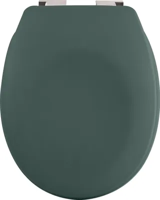 A dark green toilet seat is shown from a top-down view against a white background.