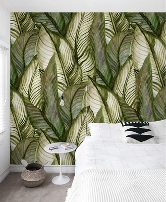 Produktbild von Coloray Fototapete 416x254 cm Latextapete Magicstick - Palm Monstera verlässt Blumen