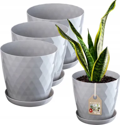 Obrázek produktu pro Plastové květináče KADAX "Amily", květináč s podšálkem. Květináč, 16 cm, šedý, 3 kusy