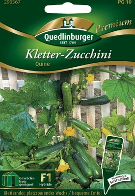Produktbild von Quedlinburger Saatgut - Kletterzucchini Quine - Samen - 290367