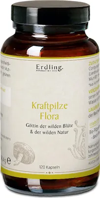 Produktbild von Kraftpilze Flora - Vitalpilz Synergetikum - 120 Kapseln