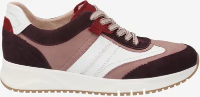 Produktbild von Gabor 93.400.13, Sneaker in Lila für Damen, Größe 37,5