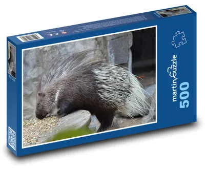 Obrázok produktu pre Puzzle 500 Dikobraz v prírode - martinpuzzle