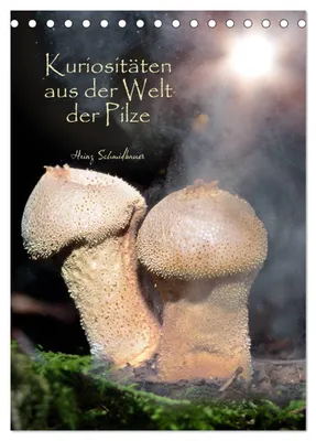 Produktbild von Kuriositäten aus der Welt der Pilze (Tischkalender 2027 DIN A5 hoch), CALVENDO Monatskalender