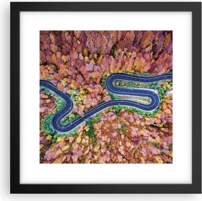 Produktbild von Gerahmtes Poster - Schwarzer Rahmen - Kurvenreich Weg Wald - 30x30 cm - Wand Bild - Wanddeko - Wandbilder - Kunstposter - Wandposter - Bilderrahmen - Bilder - Kunstdruck - Wandbild - P2BAC30x30-4291