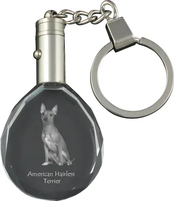 Produktbild von American Hairless Terrier, Amerikanischer Nackthund - Anhänger mit einem Foto eines Hundes, Schlüsselanhänger aus Kristall in einer Geschenkbox, ein einzigartiges Geschenk von Art-Dog