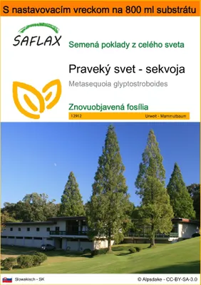 Obrázok produktu pre SAFLAX Garden in the bag - Praveký svet - sekvoja - Metasequoia glyptostroboides - 60 Semená - S pestovateľským substrátom v praktickom samostaviteľnom vrecku